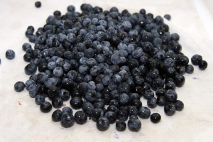 Blueberries I