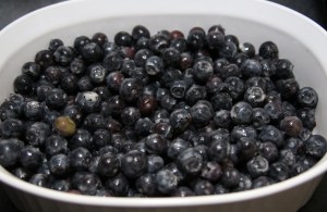 Blueberry Crisp I