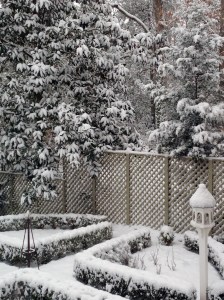 View from my Kitchen Window this Afternoon!