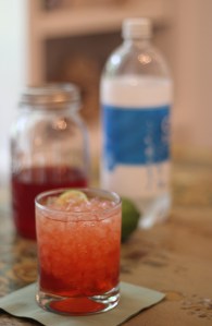 Adult Beverages Strawberry Vodka cocktail