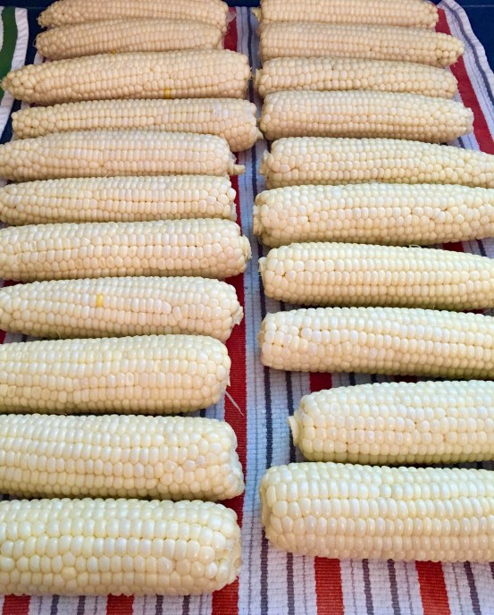 Freezing Corn III